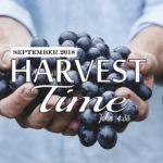 Harvest Time-September 2018